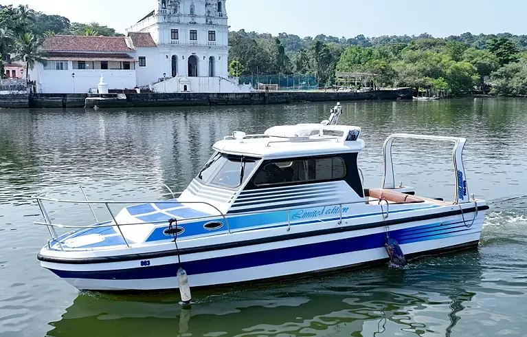 Blue Fin Solaris